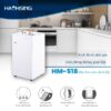 Máy đun nước dưới bếp HM-528
