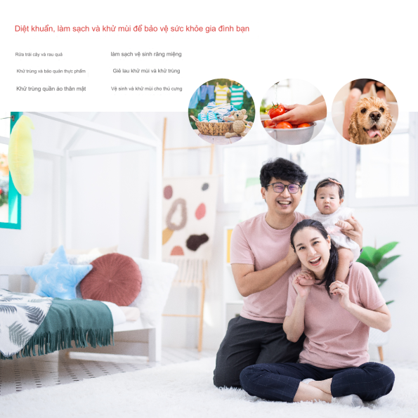 Máy tạo nước OZONE Khử trùng WDS-Mini